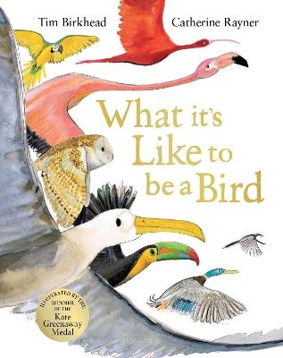 What it's Like to be a Bird - Tim Birkhead - cover