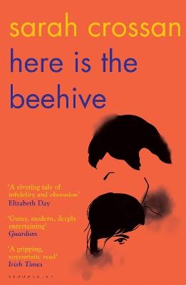 Here is the Beehive: Shortlisted for Popular Fiction Book of the Year in the AN Post Irish Book Awards - Sarah Crossan - cover