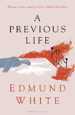 A Previous Life: Another Posthumous Novel - Edmund White - cover