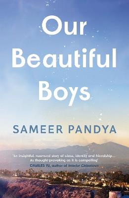 Our Beautiful Boys - Sameer Pandya - cover