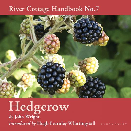 Hedgerow