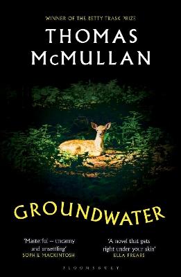 Groundwater: ‘Complex, chilling, masterful' Financial Times - Thomas McMullan - cover