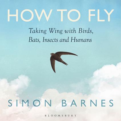 How to Fly