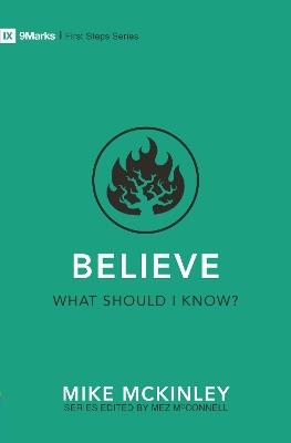 Believe – What Should I Know? - Mike McKinley - cover