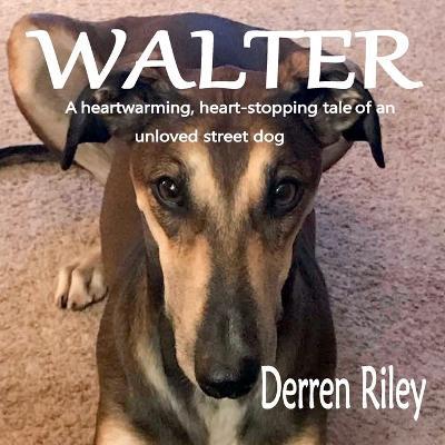 Walter - Derren Riley - cover