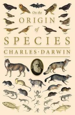 On the Origin of Species;Or; The Preservation of the Favoured Races in the Struggle for Life - Charles Darwin - cover