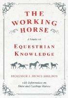 The Working Horse - A Guide on Equestrian Knowledge with Information on Shire and Carriage Horses - Various,J Prince-Sheldon - cover