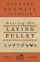 Rearing the Laying Pullet - Anon - cover