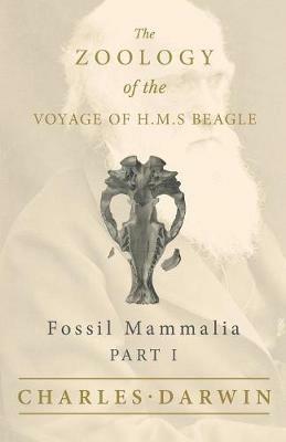 Fossil Mammalia - Part I - The Zoology of the Voyage of H.M.S Beagle; Under the Command of Captain Fitzroy - During the Years 1832 to 1836 - Charles Darwin,Richard Owen - cover
