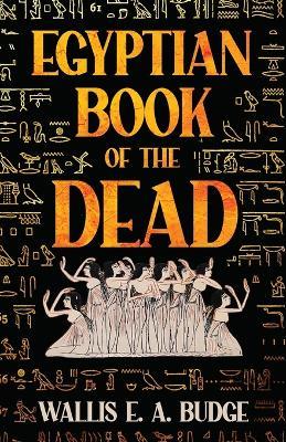 The Chapters of Coming Forth by Day or The Theban Recension of the Book of the Dead - The Egyptian Hieroglyphic Text Edited from Numerous Papyrus - Wallis E a Budge - cover