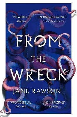 From The Wreck - Jane Rawson - cover