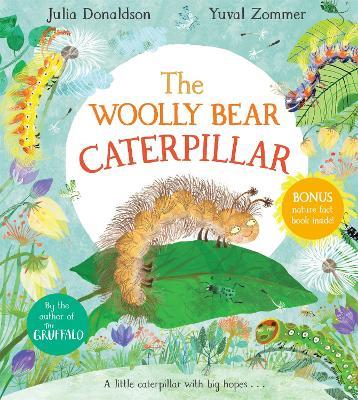 The Woolly Bear Caterpillar - Julia Donaldson - cover