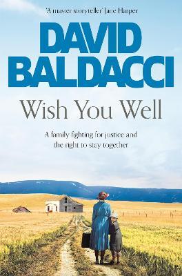 Wish You Well - David Baldacci - cover