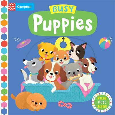 Busy Puppies - Campbell Books - cover