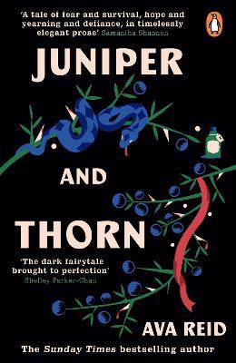 Juniper & Thorn: The Sunday Times Bestseller - Ava Reid - cover