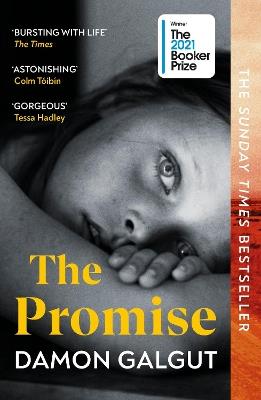 The Promise: WINNER OF THE BOOKER PRIZE 2021 and a BBC Between the Covers Big Jubilee Read Pick - Damon Galgut - cover