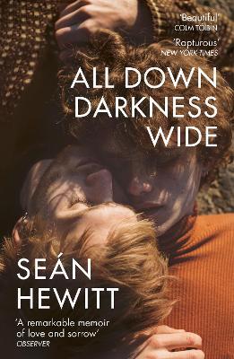 All Down Darkness Wide: A Memoir - Seán Hewitt - cover