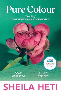 Pure Colour: the new novel from the author of Motherhood and How Should A Person Be? - Sheila Heti - cover