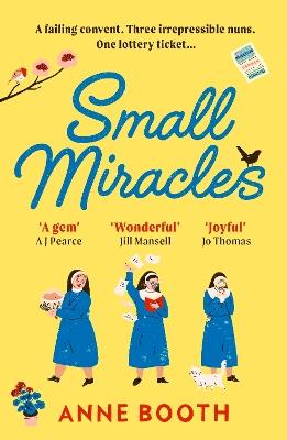 Small Miracles: The perfect heart-warming summer read about hope and friendship - Anne Booth - cover