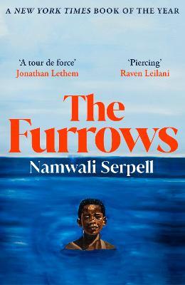 The Furrows: From the Prize-winning author of The Old Drift - Namwali Serpell - cover