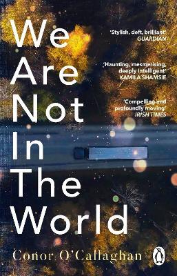 We Are Not in the World: 'compelling and profoundly moving' Irish Times - Conor O'Callaghan - cover