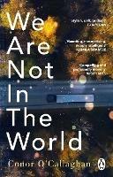 We Are Not in the World: 'compelling and profoundly moving' Irish Times - Conor O'Callaghan - cover