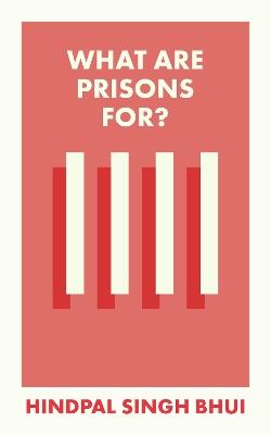 What Are Prisons For? - Hindpal Singh Bhui - cover