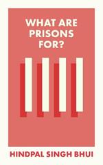 What Are Prisons For?