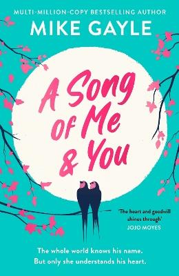 A Song of Me and You: everyone knows this rock star's name: only his first love understands his heart - Mike Gayle - cover
