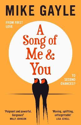 A Song of Me and You - Mike Gayle - cover