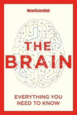 The Brain: Everything You Need to Know - New Scientist - cover