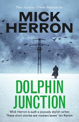 Dolphin Junction - Mick Herron - cover