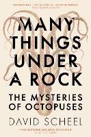 Many Things Under a Rock: The ‘mind-blowing’ book that reveals the mysteries of the octopus - David Scheel - cover