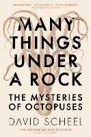 Many Things Under a Rock: The Mysteries of Octopuses - David Scheel - cover