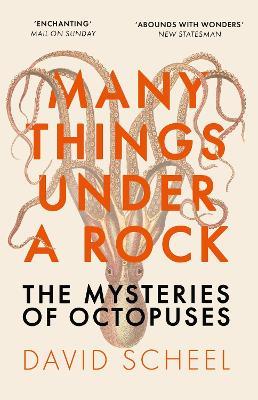 Many Things Under a Rock: The Mysteries of Octopuses - David Scheel - cover
