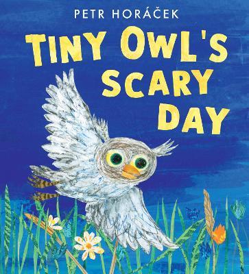 Tiny Owl's Scary Day - Petr Horácek - cover