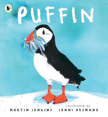 Puffin - Martin Jenkins - cover