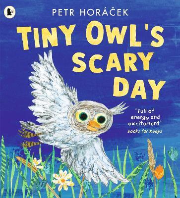 Tiny Owl's Scary Day - Petr Horácek - cover