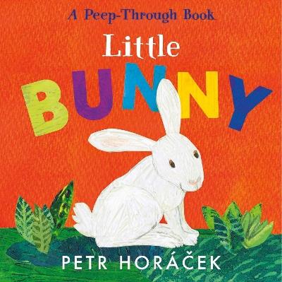 Little Bunny - Petr Horácek - cover
