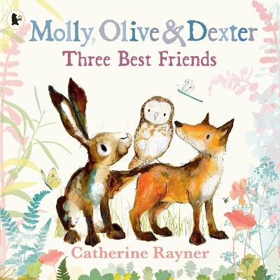 Molly, Olive and Dexter: Three Best Friends - Catherine Rayner - cover