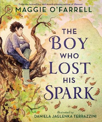The Boy Who Lost His Spark - Maggie O'Farrell - cover