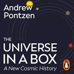 The Universe in a Box