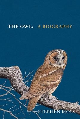 The Owl: A Biography - Stephen Moss - cover
