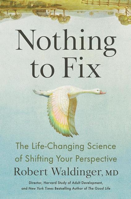 Nothing to Fix