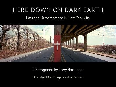 Here Down on Dark Earth: Loss and Remembrance in New York City - cover