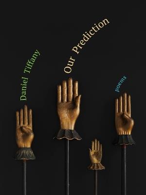 Our Prediction - Daniel Tiffany - cover