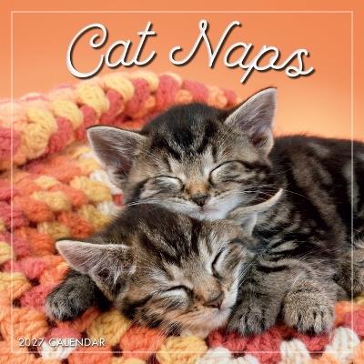 Cat Naps - cover