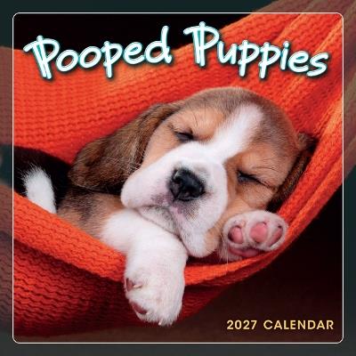 Pooped Puppies - cover