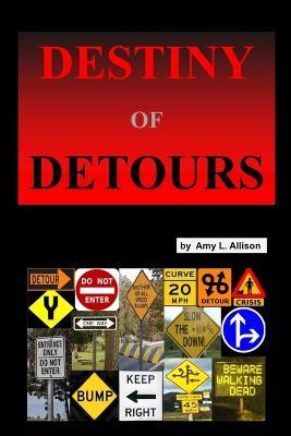 Destiny of Detours - Amy Allison - cover