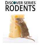 Rodents